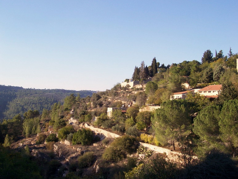isra871.jpg