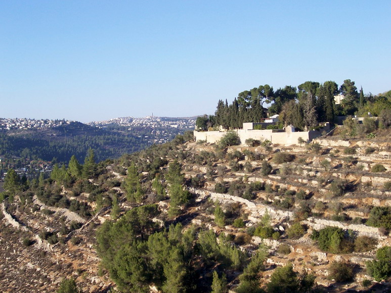 isra872.jpg
