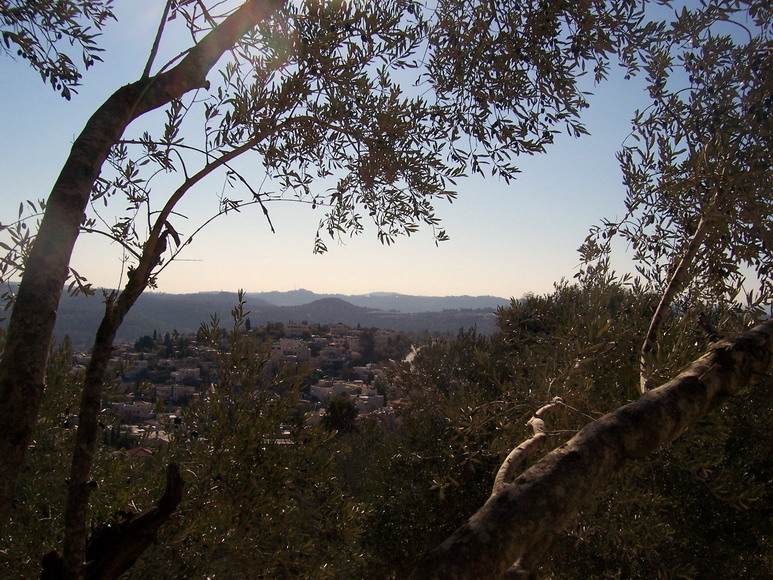 isra923.jpg