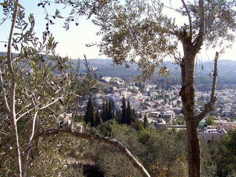 isra924.jpg