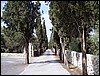 isra067.jpg