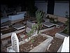 isra178.jpg