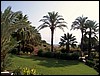 isra196.jpg