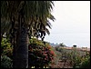 isra197.jpg