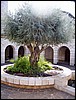 isra203.jpg