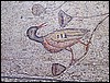 isra215.jpg