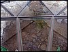 isra255.jpg