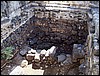 isra262.jpg