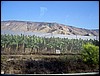 isra314.jpg