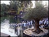 isra323.jpg