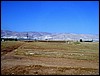 isra385.jpg