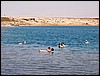 isra420.jpg