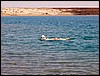 isra423.jpg