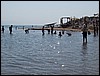 isra429.jpg