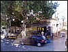 isra439.jpg