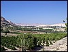 isra448.jpg