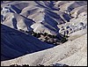 isra481.jpg