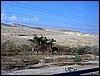 isra484.jpg