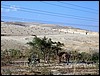 isra485.jpg