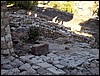 isra573.jpg