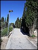 isra639.jpg