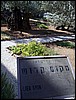 isra647.jpg