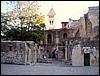 isra736.jpg
