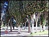 isra782.jpg