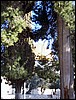 isra783.jpg