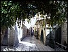 isra818.jpg