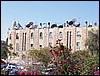 isra826.jpg