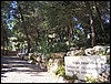isra843.jpg