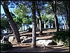 isra855.jpg