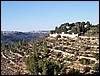 isra872.jpg