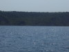 slos103