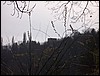 taieu0506.jpg