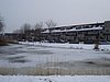 taihol10003.jpg