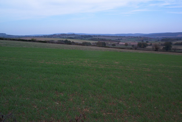 tainov05008.jpg