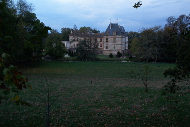 tainov05077.jpg