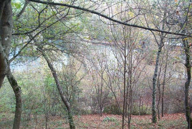 tainov05102.jpg