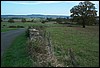 tainov05005.jpg