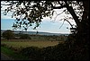 tainov05006.jpg