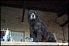 tainov05017.jpg