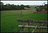 tainov05020.jpg
