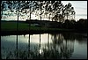 tainov05023.jpg