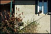 tainov05050.jpg