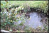 tainov05066.jpg