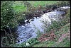 tainov05067.jpg