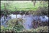 tainov05068.jpg