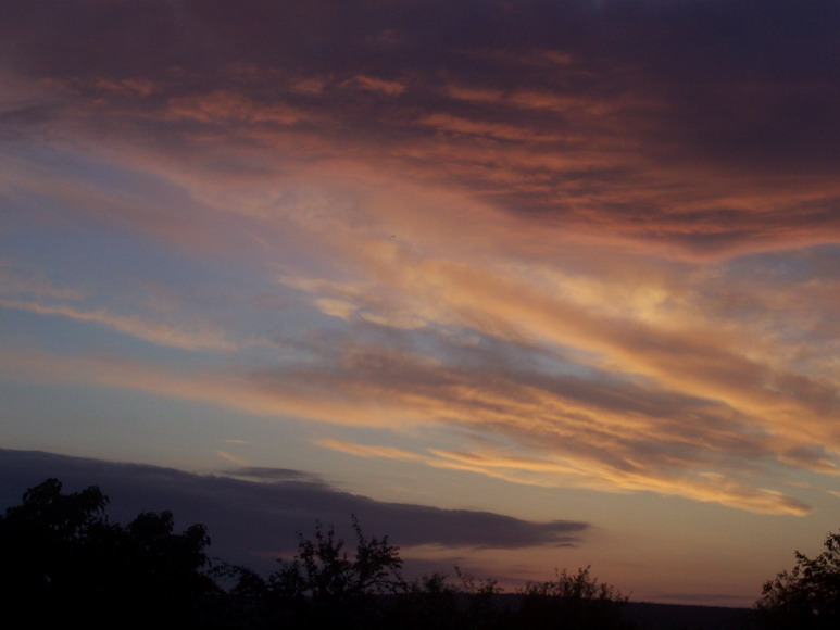 taiset07101